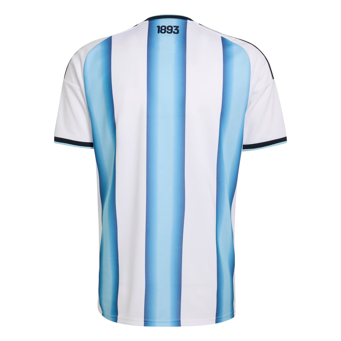 Playera Argentina Jugador